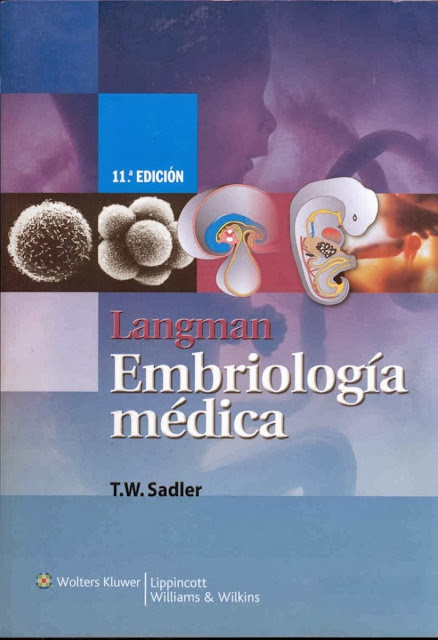 embriologia langman